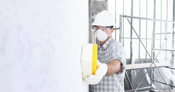 Best Mold Prevention Services in Swoyersville, PA